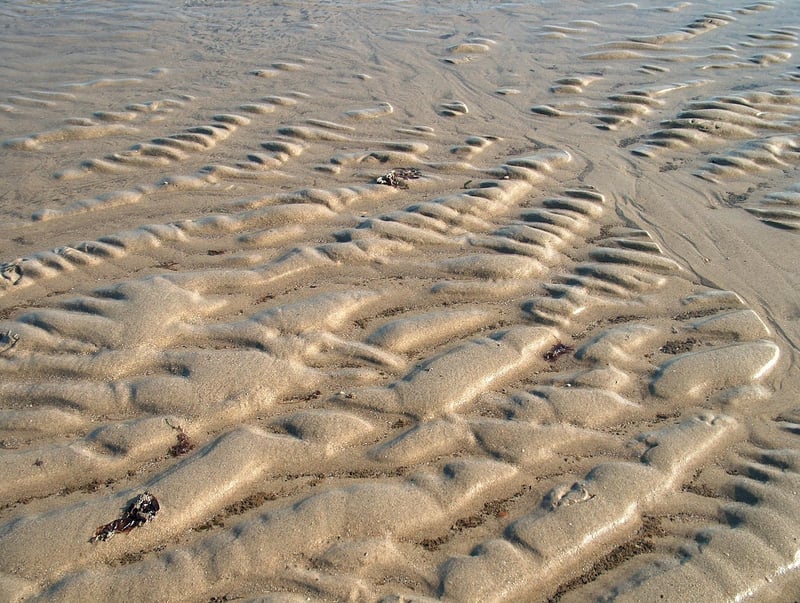 Hot Tub Time Machine